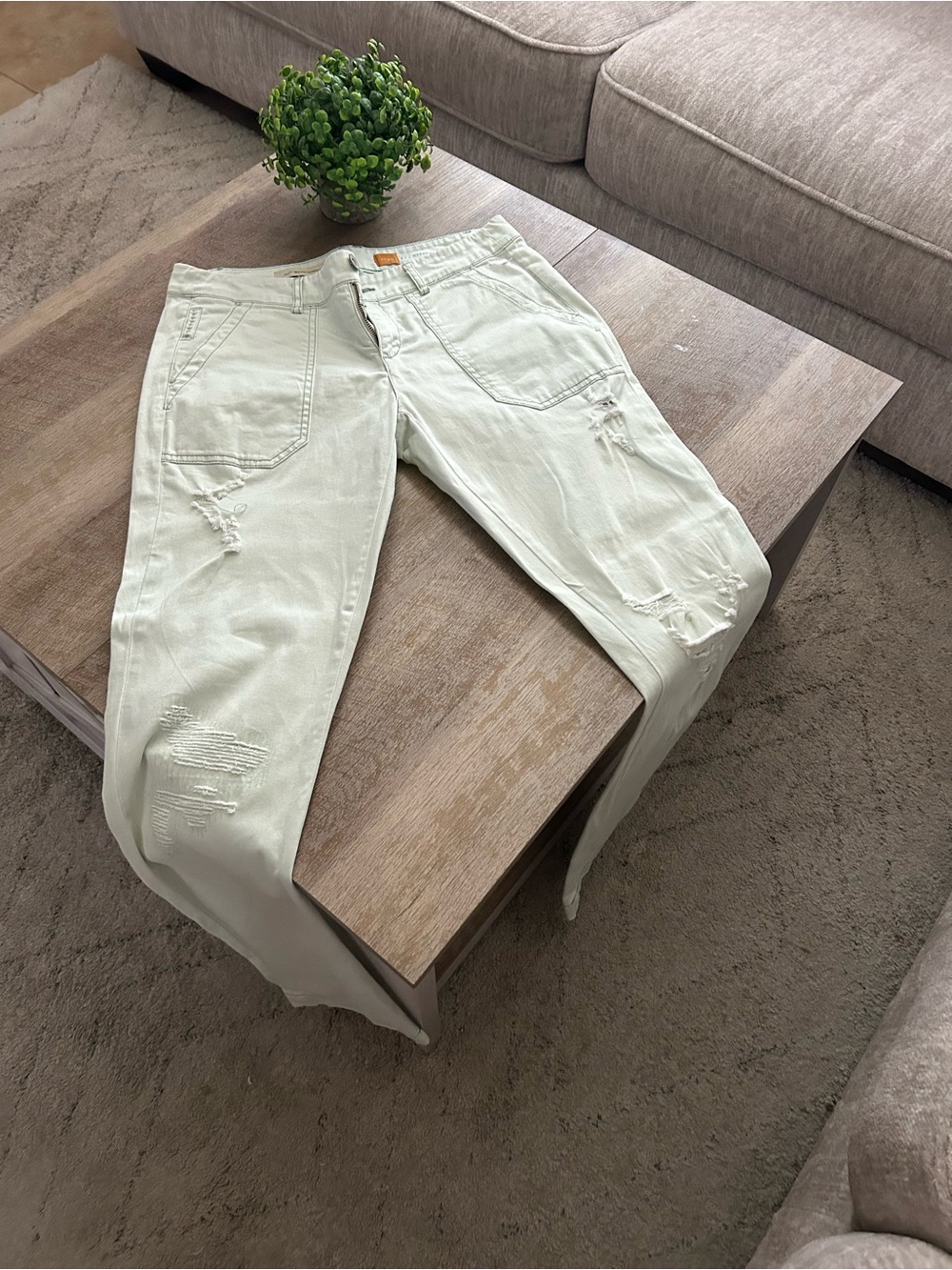 Light Mint Distressed pants